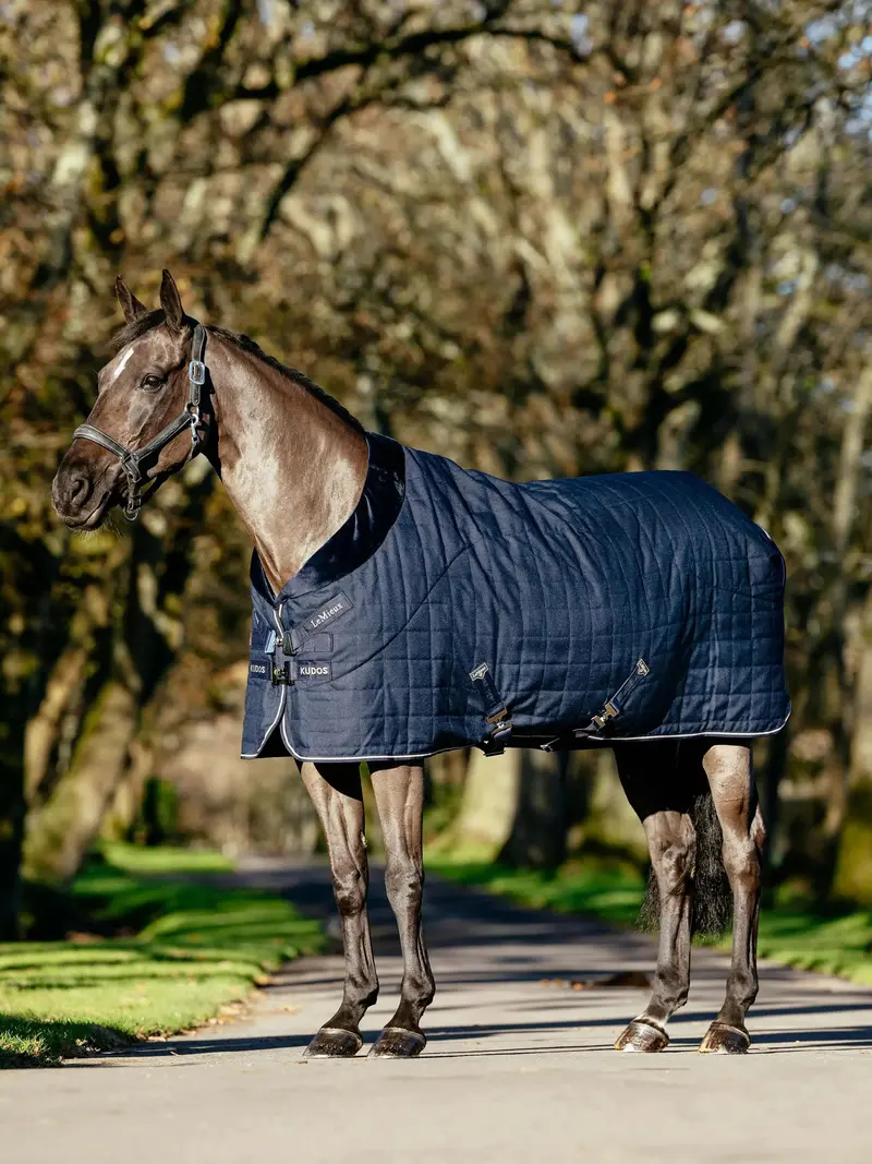 Lemieux Kudos Luxe Lined Stable Rug 1