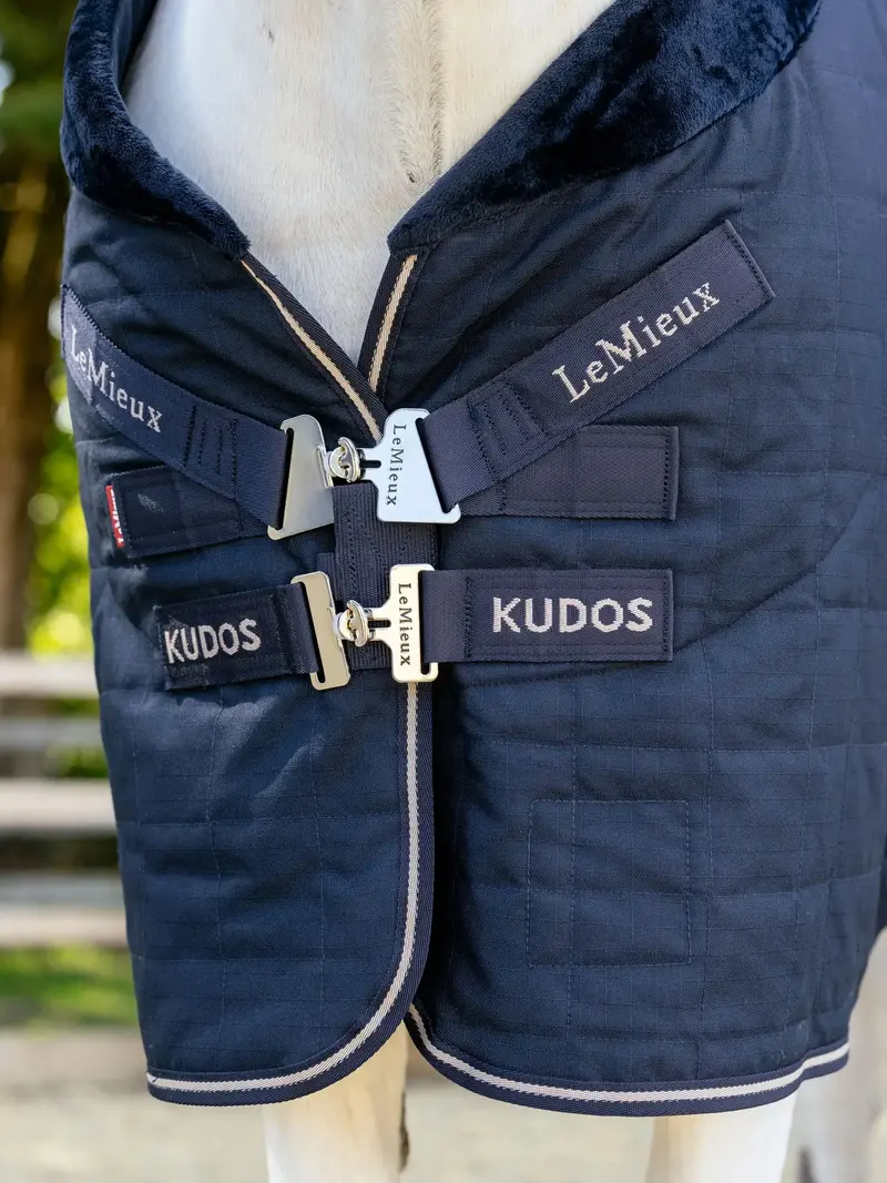 Lemieux Kudos Luxe Lined Stable Rug 2