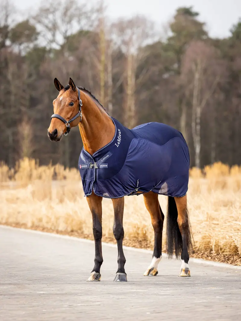 Lemieux Kudos Mesh Sports Cooler