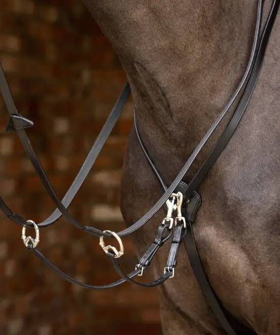 Lemieux Kudos Running Martingale 1