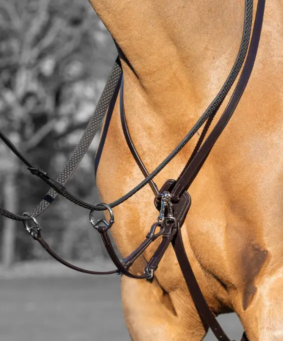 Lemieux Kudos Running Martingale with Adjustable Straps