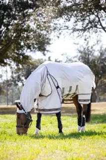 Lemieux Kudos Shower Pro Waterproof Fly Blanket 1
