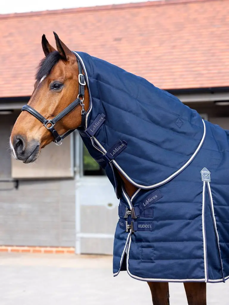 Lemieux Kudos Stable Neck Cover 100 Gram 1