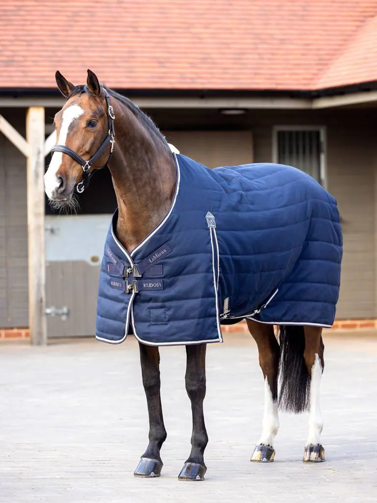 Lemieux Kudos Stable Rug 1