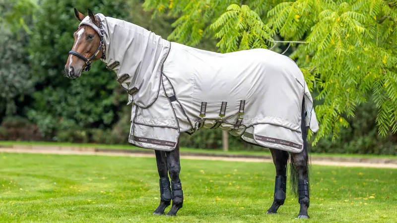 Lemieux Kudos Sweet Itch Blanket 1