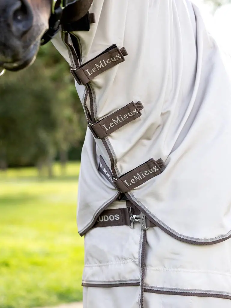 Lemieux Kudos Sweet Itch Blanket 3