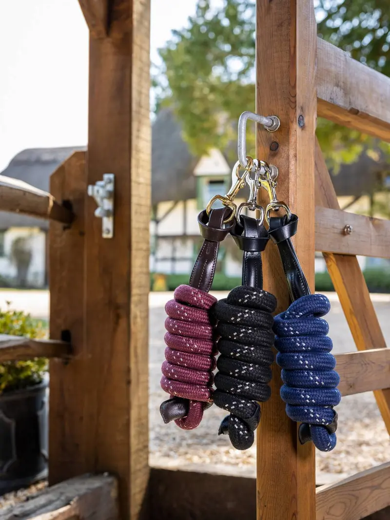 Lemieux Lasso Leadrope 1
