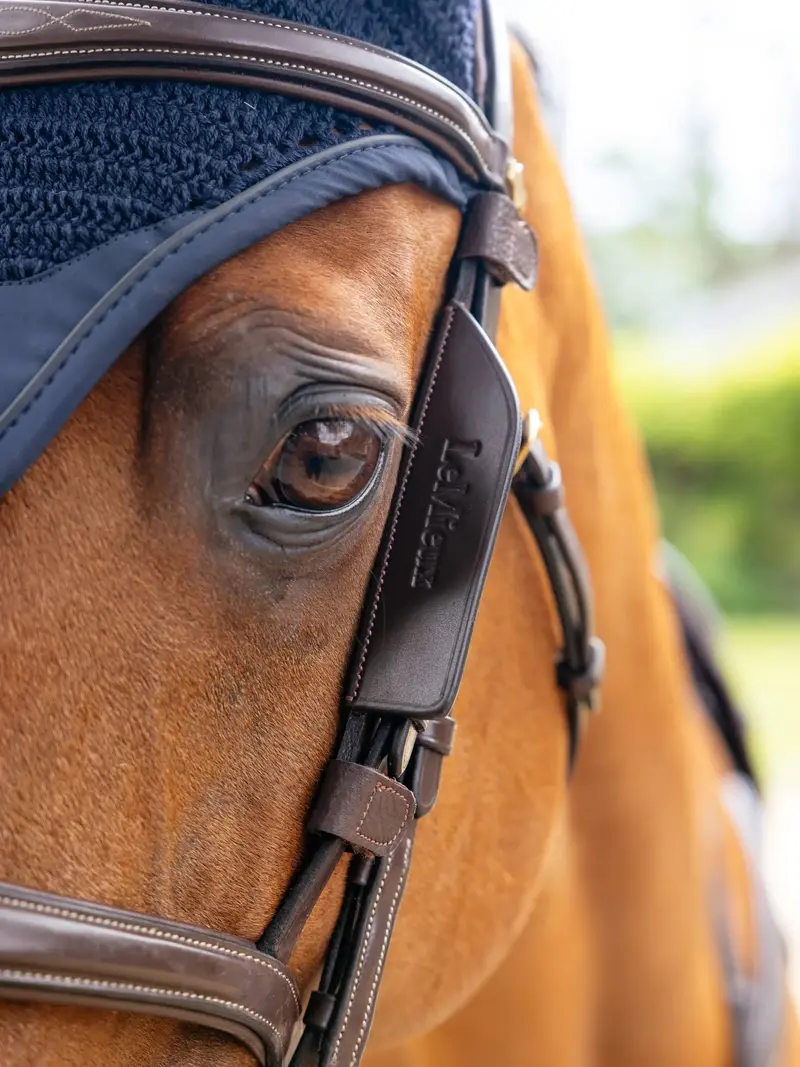 Lemieux Leather Bridle Blinkers 5