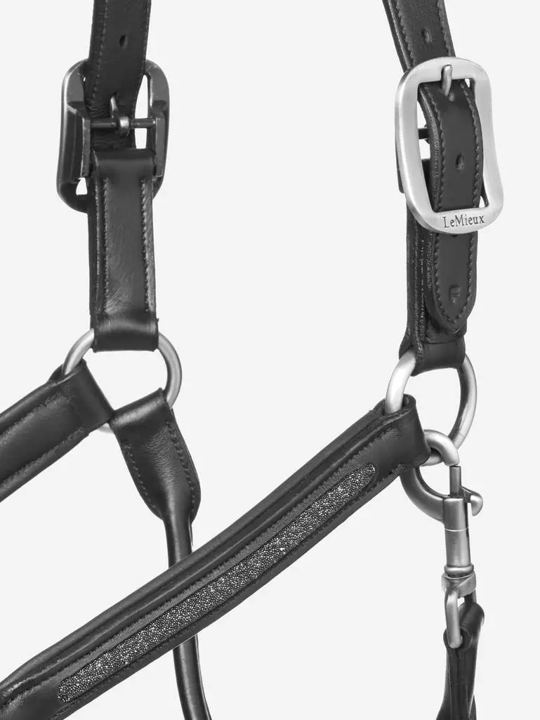 Lemieux Leather Crystal Halter 3