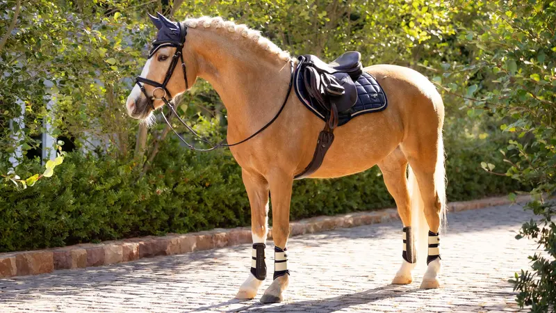Lemieux Loire Classic Close Contact Saddle Pad 16