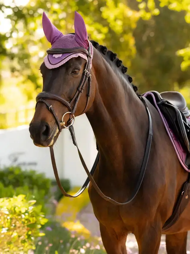 Lemieux Loire Ear Bonnet 3