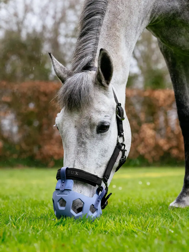 Lemieux Noma Grazing Muzzle 4