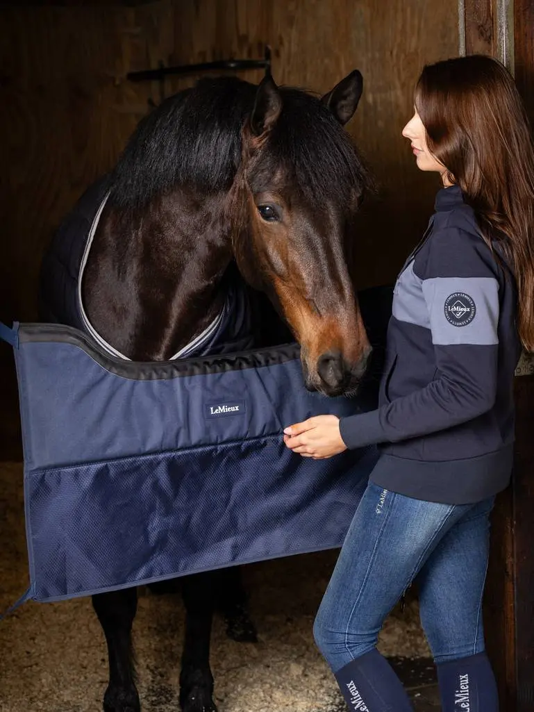 Lemieux Pro Stable Guard 2