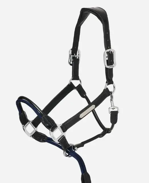 Lemieux Rope Control Halter 2