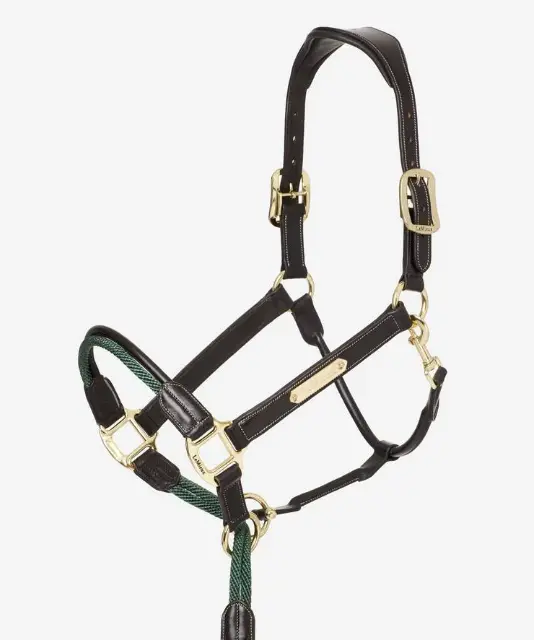 Lemieux Rope Control Halter 4