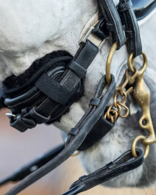 Lemieux Simuwool Chin/Noseband Guard 1