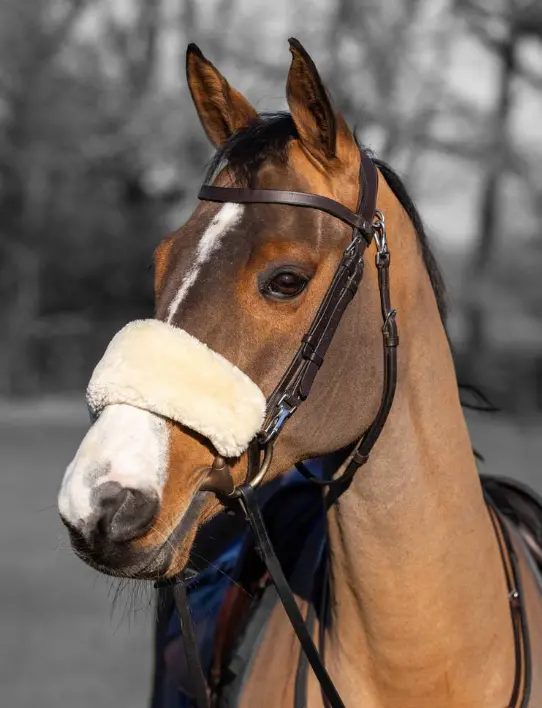 Lemieux Simuwool Noseband Cover 2