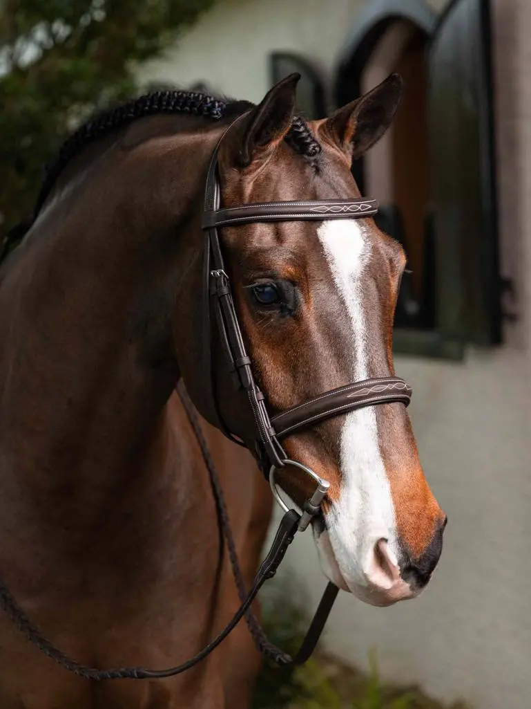 Lemieux Stitched Hunter Bridle W/Laced Reins 2