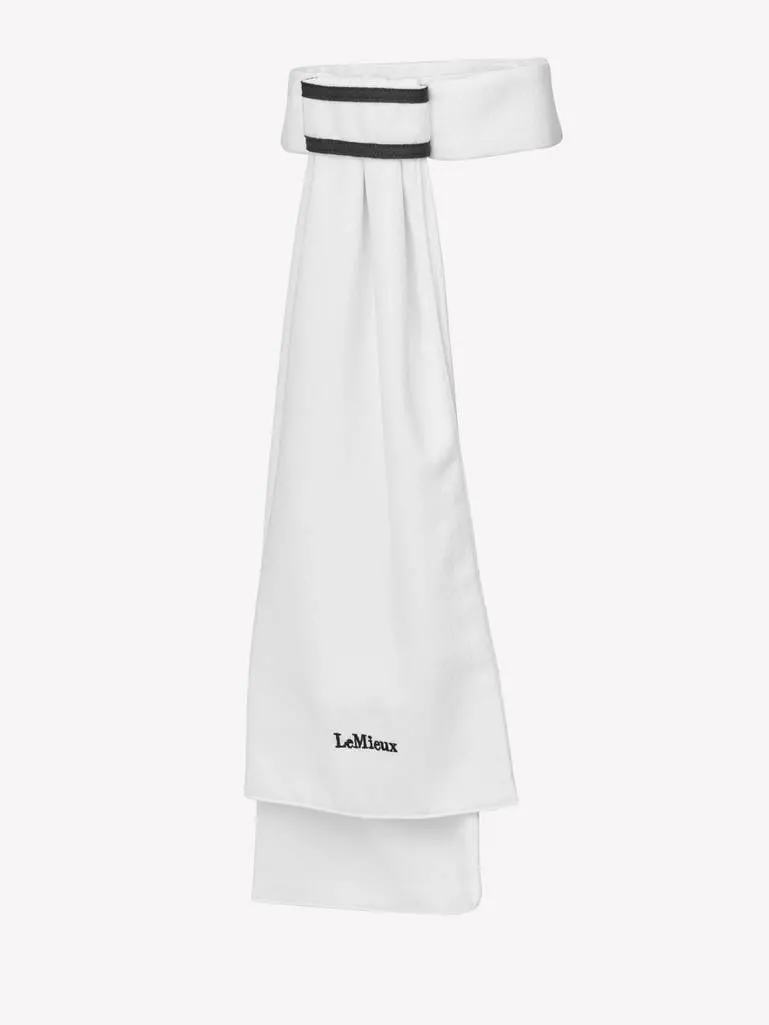 Lemieux Stock Tie 1