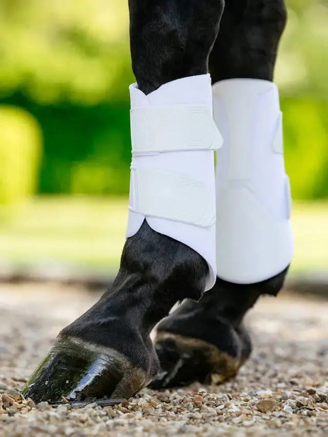 Lemieux Technical Brushing Boot 1