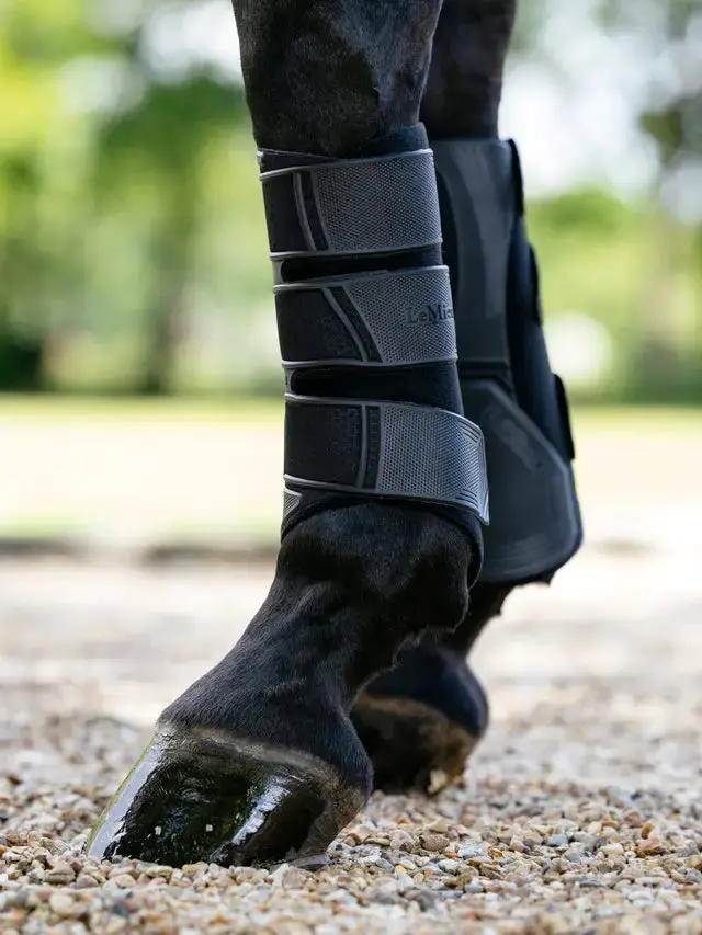 Lemieux Technical Brushing Boot 3