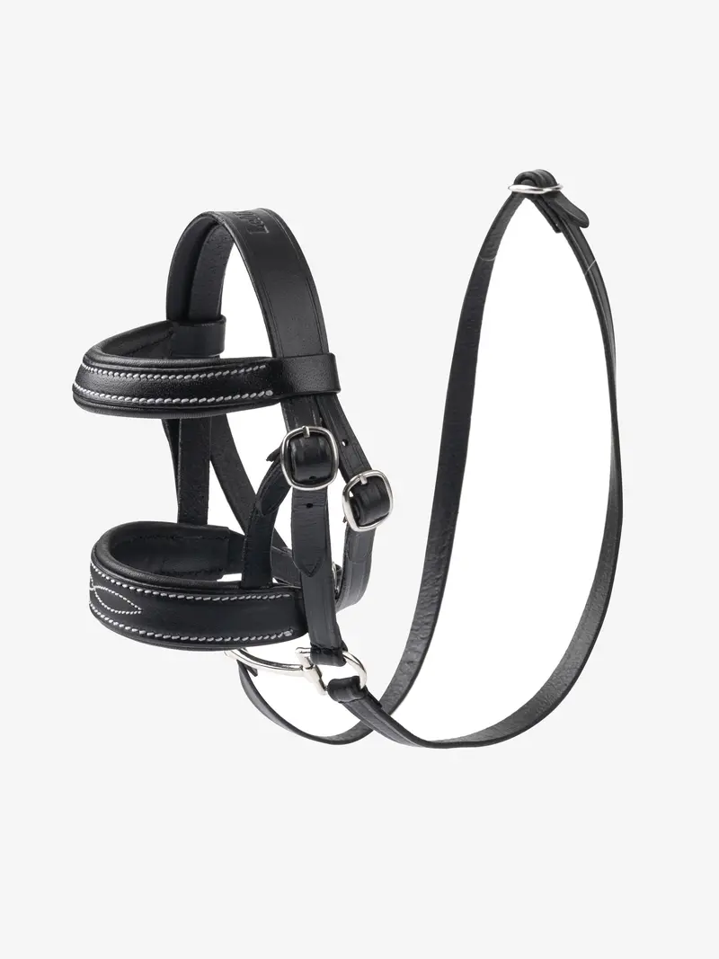 Lemieux Toy Pony Bridle 1