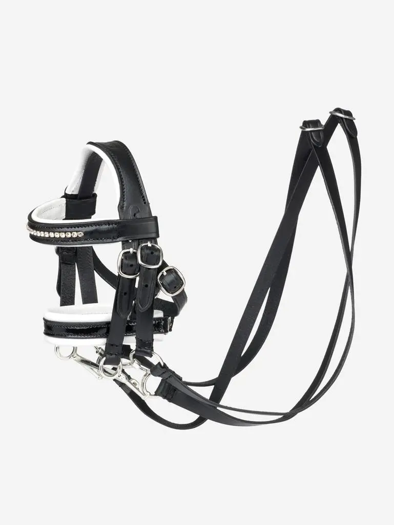 Lemieux Toy Pony Double Bridle 3