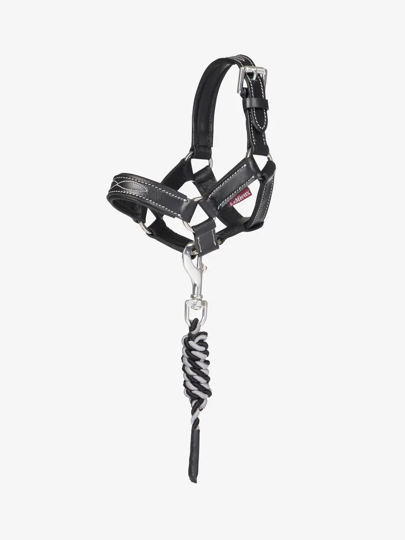 Lemieux Toy Pony Leather Headcollar & Leadrope 1