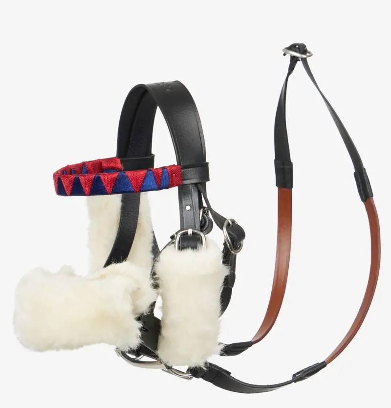 Lemieux Toy Pony Racing Accessories 1