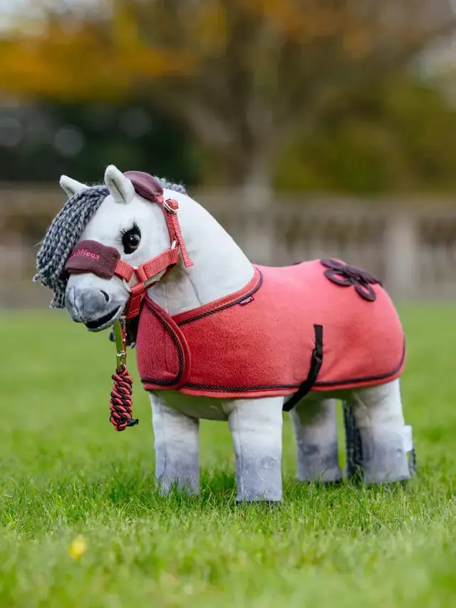 Lemieux Toy Pony Show Rug 6