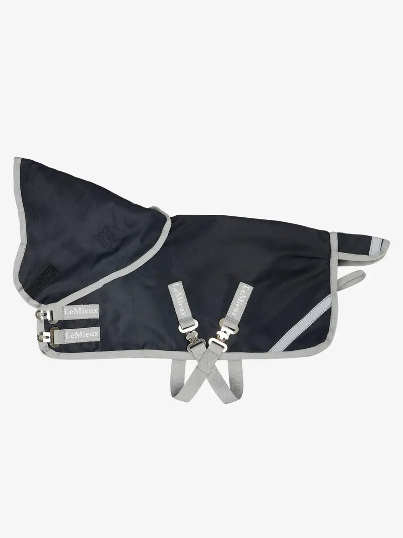 Lemieux Toy Pony Storm Tek Rug 1