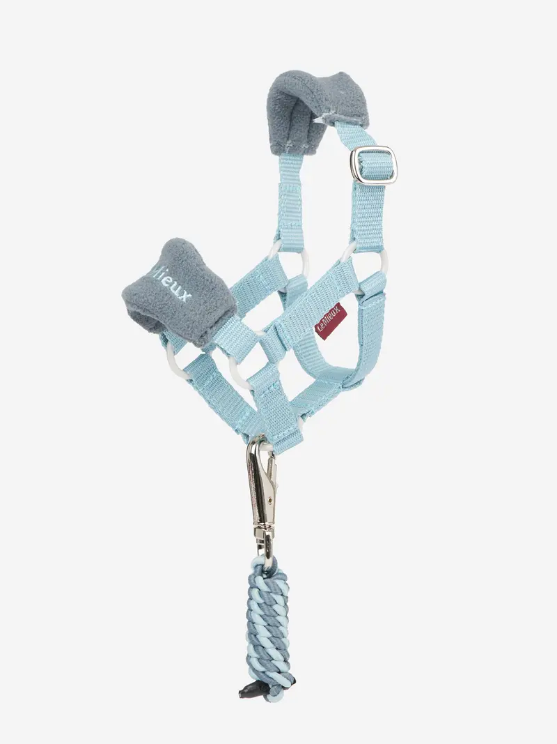 Lemieux Toy Pony Vogue Halter 10
