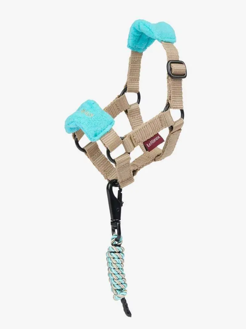Lemieux Toy Pony Vogue Halter 11