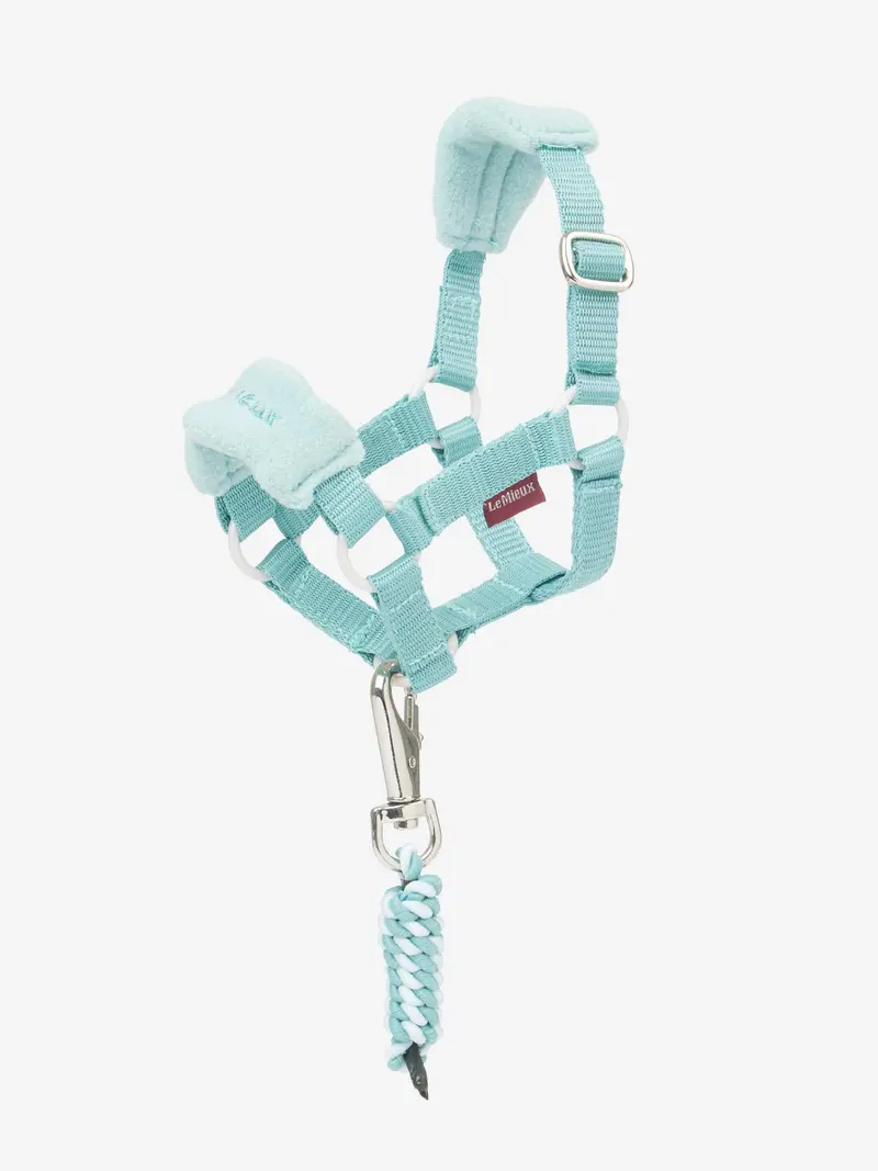 Lemieux Toy Pony Vogue Halter 5