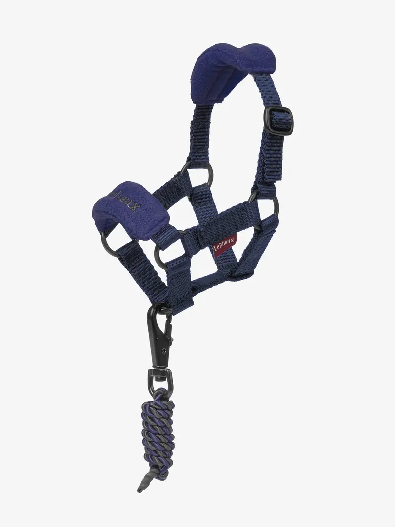 Lemieux Toy Pony Vogue Halter 8