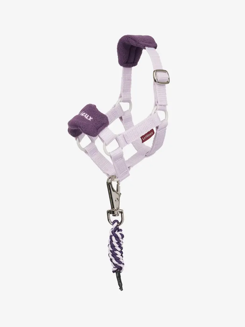 Lemieux Toy Pony Vogue Halter 8