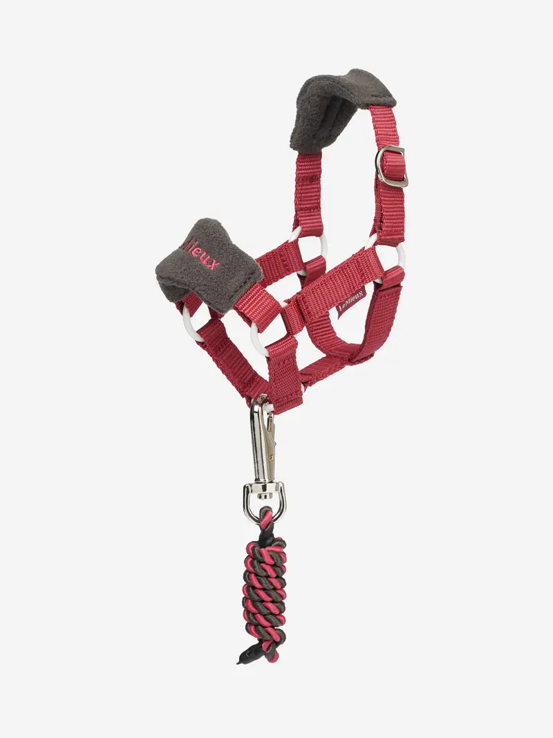 Lemieux Toy Pony Vogue Halter 9