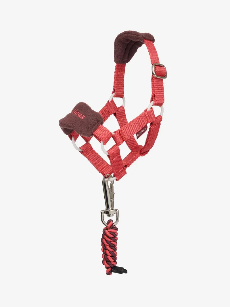Lemieux Toy Pony Vogue Halter 9