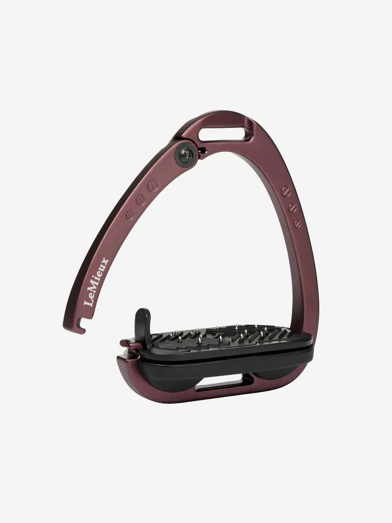 Lemieux Vector Control Stirrup 7