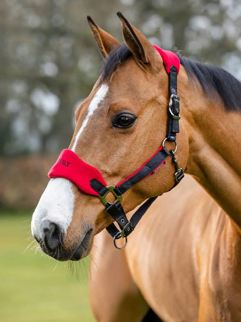 Lemieux Vogue Fleece Headcollar & Rope 9