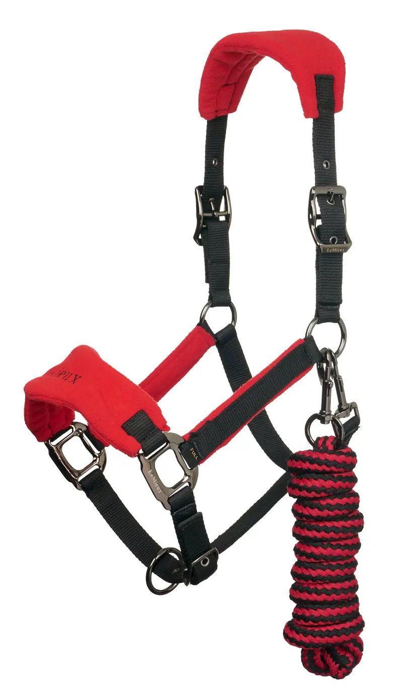 Lemieux Vogue Headcollar & Leadrope 11