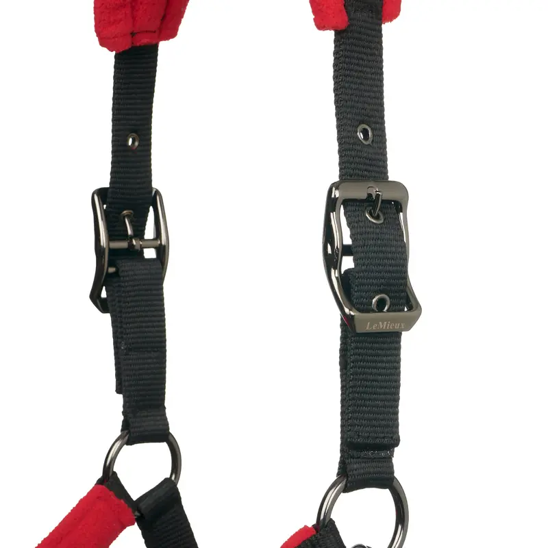 Lemieux Vogue Headcollar & Leadrope 17
