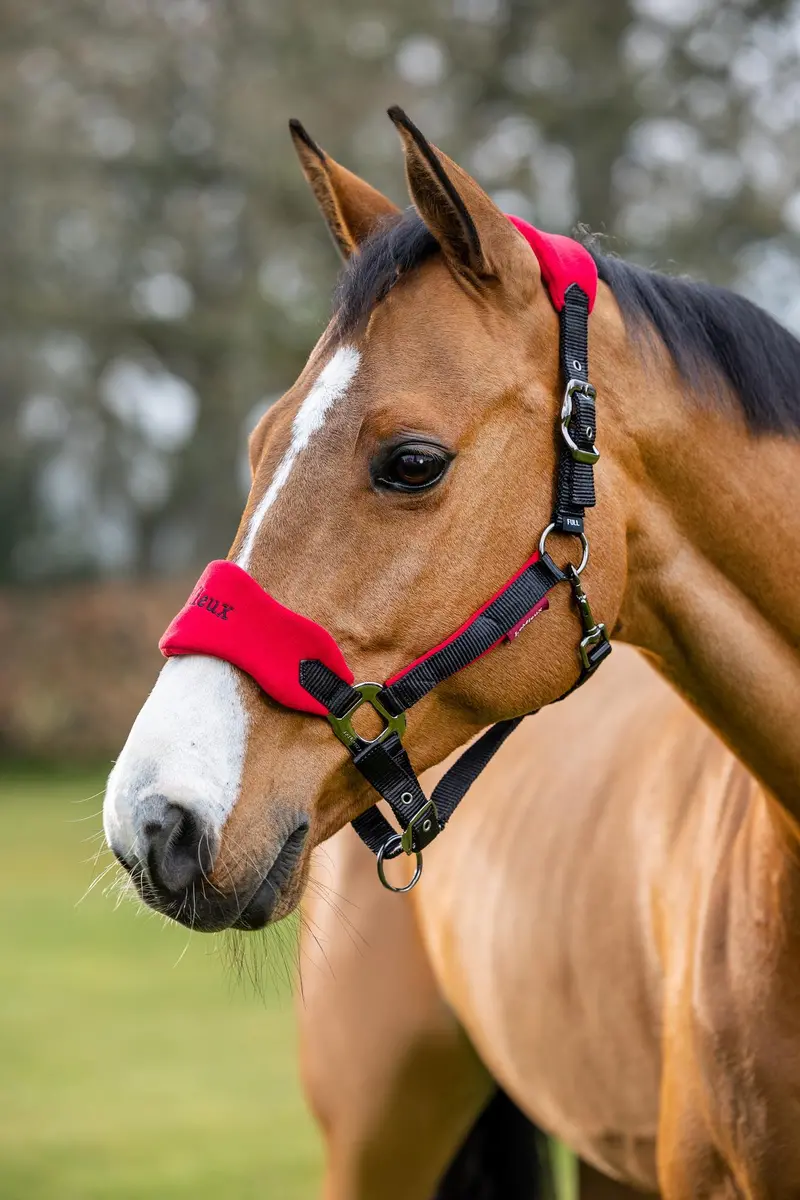 Lemieux Vogue Headcollar & Leadrope 19