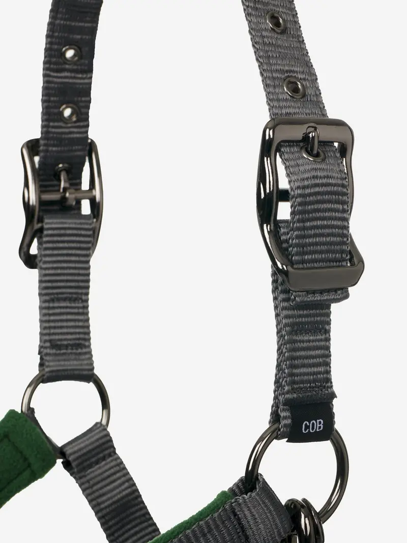 Lemieux Vogue Headcollar & Leadrope 24