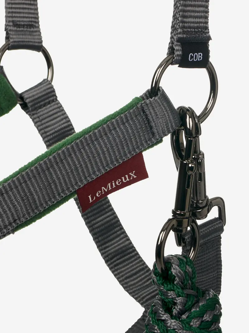 Lemieux Vogue Headcollar & Leadrope 26