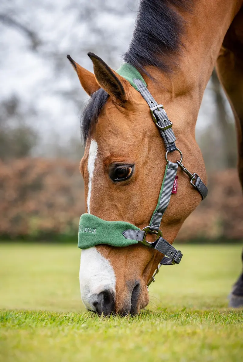 Lemieux Vogue Headcollar & Leadrope 27
