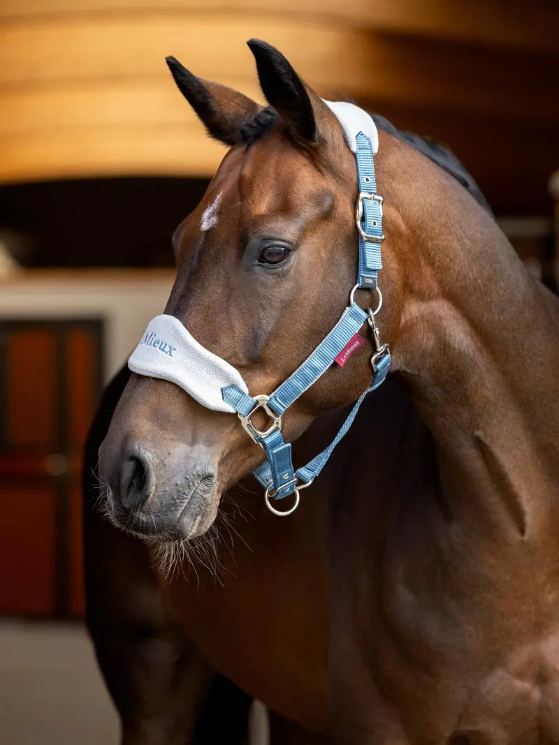 Lemieux Vogue Headcollar & Leadrope 29