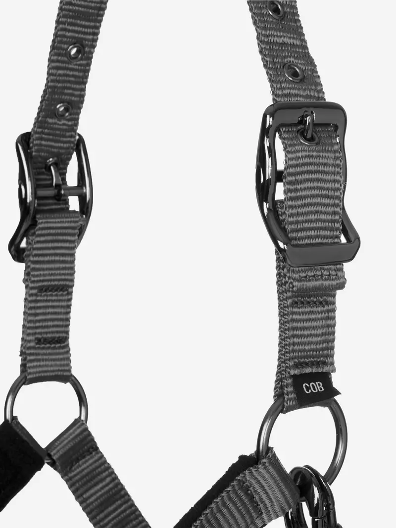 Lemieux Vogue Headcollar & Leadrope 4