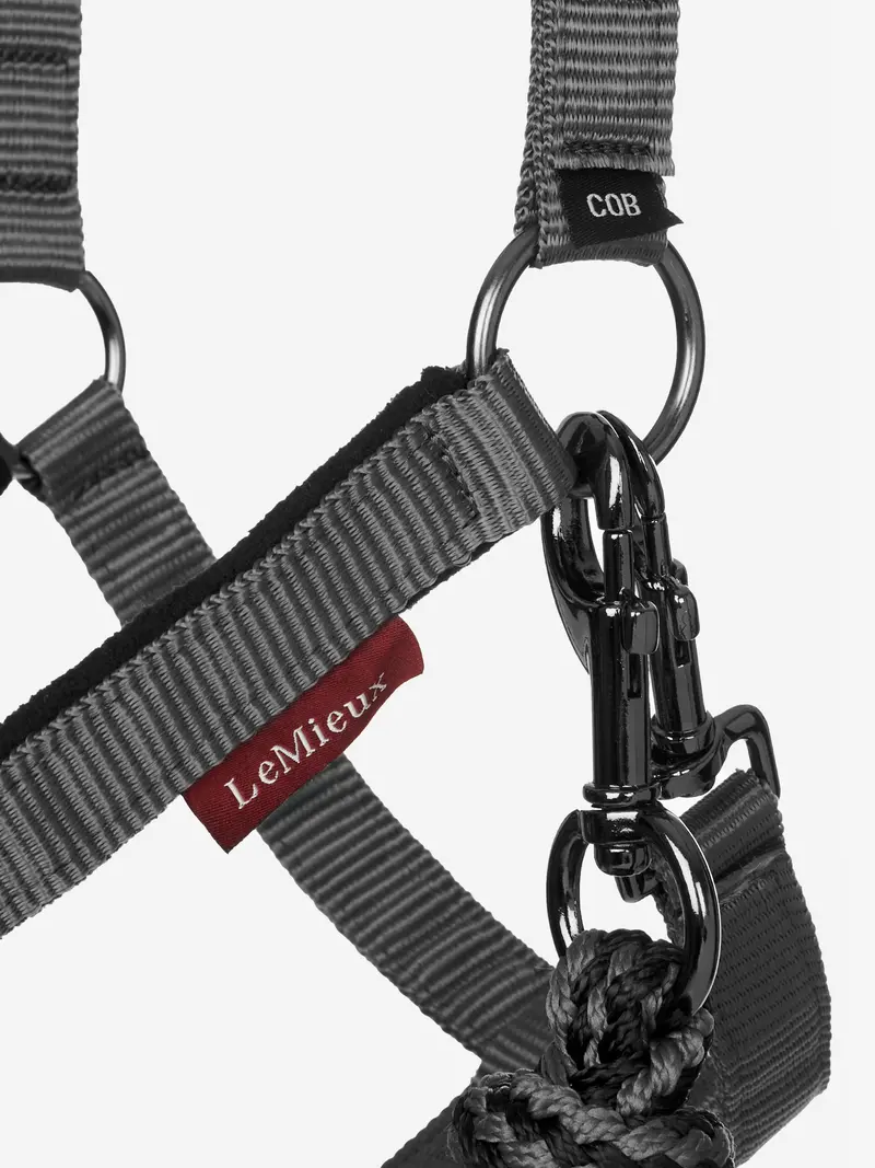 Lemieux Vogue Headcollar & Leadrope 5