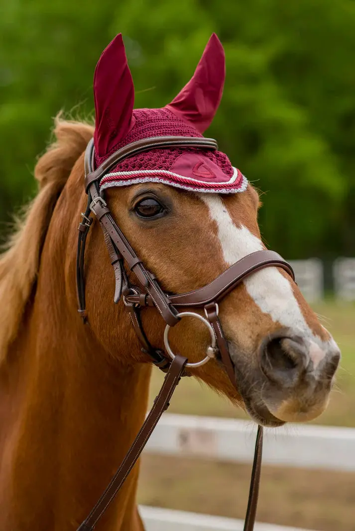 Lettia Shadow Ear Bonnet 3